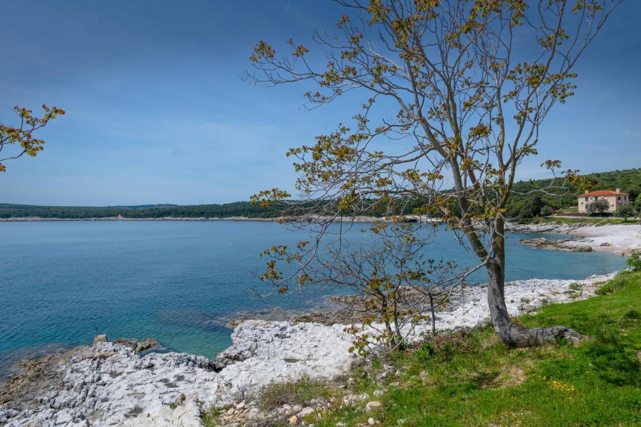 Apartment Dobrić Koromačno Zewnętrze zdjęcie