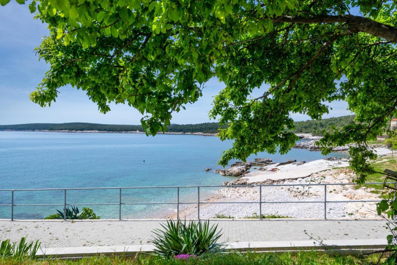 Apartment Dobrić Koromačno Zewnętrze zdjęcie