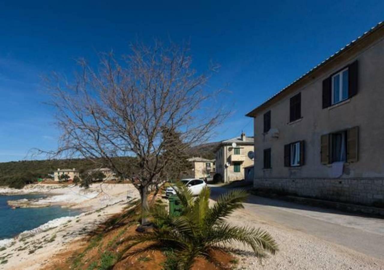 Apartment Dobrić Koromačno Zewnętrze zdjęcie