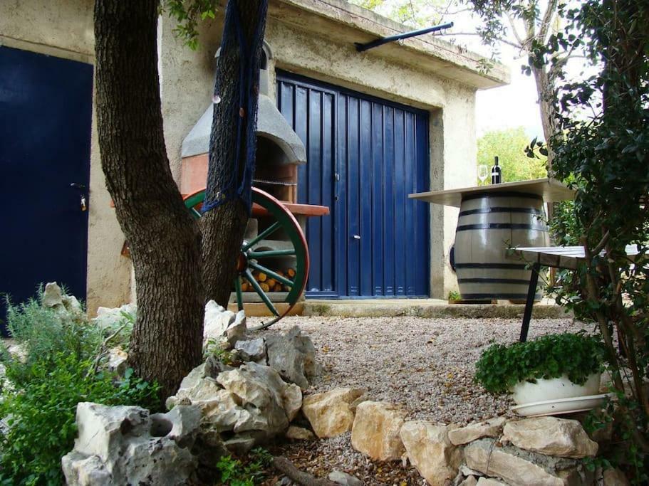 Apartment Dobrić Koromačno Zewnętrze zdjęcie