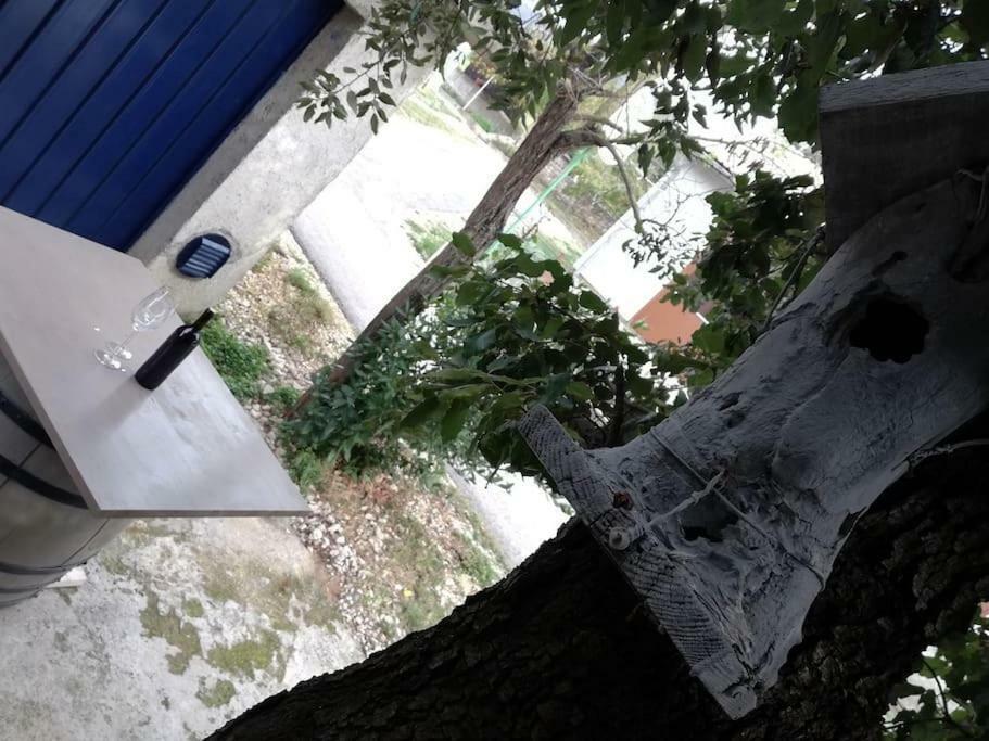 Apartment Dobrić Koromačno Zewnętrze zdjęcie